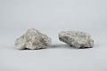 Image of Two pieces of concrete rubble salvaged from the Seattle Alaskan Way Viaduct demolition in 2019