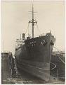 Image of Steamship M.S. Dollar drydocked at Todd Dry Docks, Inc., Seattle, February 29, 1920