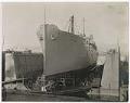 Image of S.S. Western Ally in drydock, Harbor Island, Seattle, January 10, 1919