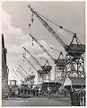 Image of Row of cranes, Todd Pacific Shipyards, Plant A, Seattle,  circa 1945