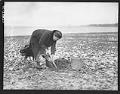 Image of Josie Anderson digging clams, Port Gamble Reservation, February 1939