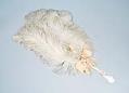 Image of White ostrich fan with mother of pearl handle, ca. 1900