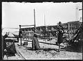 Image of Makah woman drying fish on a rack, Neah Bay, circa 1900