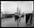 Image of Coastal steamship 