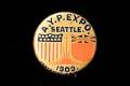 Image of Pin from the Alaska-Yukon-Pacific Exposition (AYPE) held in Seattle in 1909