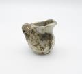 Image of Porcelain pitcher recovered from the Great Seattle Fire of 1889
