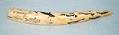 Image of Scrimshaw carving on ivory walrus tusk, undated