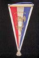 Image of Pennant from the Alaska-Yukon-Pacific Exposition (AYPE), 1909
