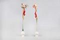Image of Irises with carp streamers from Boys’ Day, ca. 1930-1940