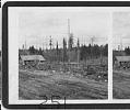 Image of Oneida Gardens, Seattle, March 1908