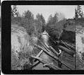Image of Logs in Montlake canal, Seattle, 1908