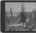 Image of Washington Park, Seattle, May 2, 1908