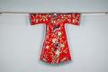 Image of Chinese Theatrical Robe from the Goon Dip family, ca. 1890-1910