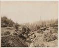Image of Saw Mill at Coal Creek, near Newcastle, circa 1915