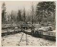 Image of Mouth of slope at Issaquah mine, circa 1900