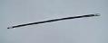 Image of Swagger stick or pointer, ca. 1900