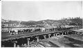 Image of Oxen hauling logs along waterfront, Seattle, circa 1885