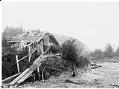 Image of Hwehlchtid's house at low tide, Shilshole, circa 1903