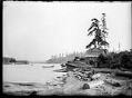 Image of Hwehlchtid's house at Shilshole with canoe anchored offshore, circa 1905