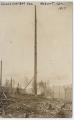Image of High lead logging, Hobart, Washington, 1917