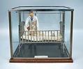 Image of Model of the 