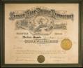 Image of Alaska-Yukon-Pacific Exposition (AYPE) Diploma awarded to Merlino Olive Oil, 1909