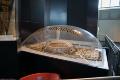 Image of Kingdome model, ca. 1970