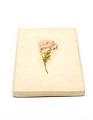 Image of Small letter box containing dried sweet briar flowers and seeds from Louisa Boren Denny's garden, ca. 1928