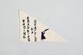 Image of Seattle Raging Grannies pennant, ca. 1996