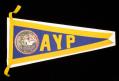 Image of Alaska-Yukon-Pacific Exposition (AYPE) pennant, 1909