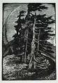 Image of Woodcut, 