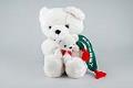 Image of Plush Frederick & Nelson Christmas Freddy Bear and Nell with original tag, ca. 1985