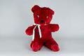 Image of Red stuffed animal Teddy bear, won at the Seattle World's Fair, 1962