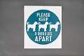 Image of Floor decal from All the Best Pet Care, 