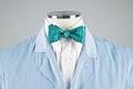 Image of Green bow tie, used in 