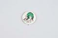 Image of Earth Day button, 1980