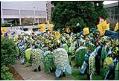 Image of Crowd of turtle-clad demonstrators headed for the WTO protest march, Seattle, 1999