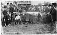Image of Game of Slahal, Treaty Day celebration, Tulalip, 1912