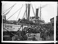 Image of Steamer 