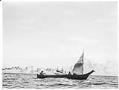 Image of Makah sailing canoe, 1900