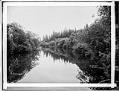Image of Black River, Seattle, circa 1899