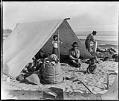 Image of Group of Makah people under a fly tent at Port Townsend, August 30, 1899