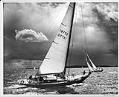 Image of Sailboat race off Vashon Island, May 1972