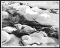 Image of Snow on Bear Creek, Redmond, 1947