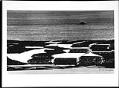 Image of Log raft on Lake Washington, Renton, 1965