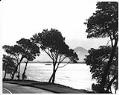 Image of Elliott Bay and Mount Rainier from Magnolia, Seattle, 1956