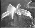 Image of Fireboat Alki in Elliott Bay, Seattle, 1949