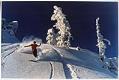 Image of Skier on Denny Mountain, Alpental, 1976