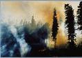 Image of Forest fire in the Cascade Mountains, 1984