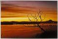 Image of Sunrise over Lake Washington, Seattle, 1971